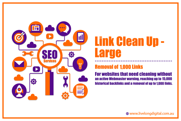 Link Clean Up Services - Large