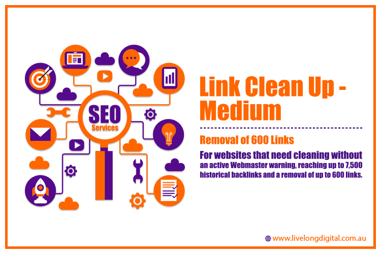 Link Clean Up Services - Medium